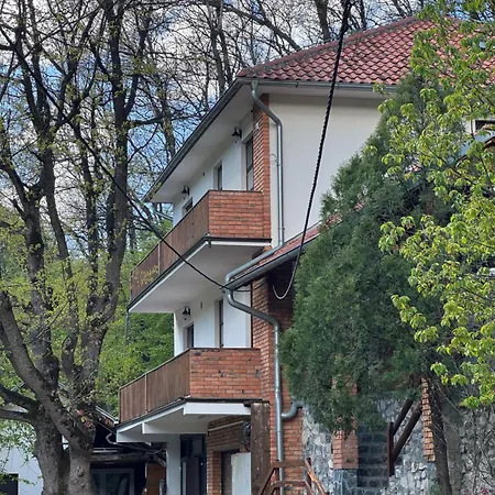 Lisine Ribnjak * Деспотовац