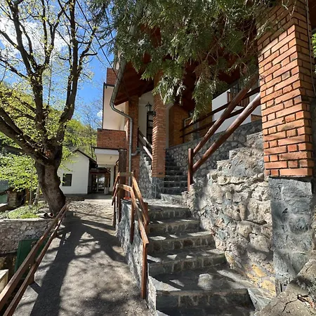 Lisine Ribnjak Деспотовац