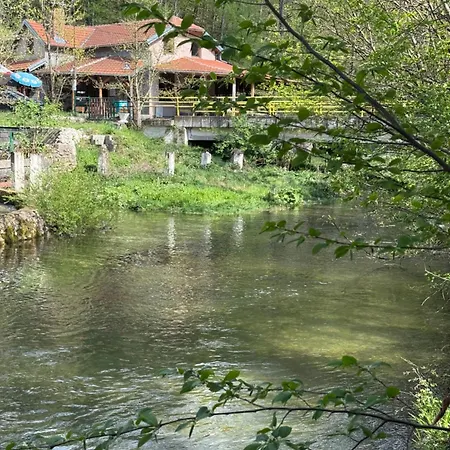 Lisine Ribnjak * Деспотовац