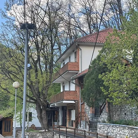 Lisine Ribnjak * Деспотовац