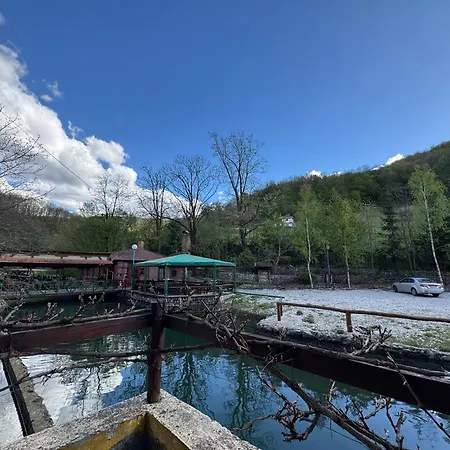 Lisine Ribnjak * Деспотовац