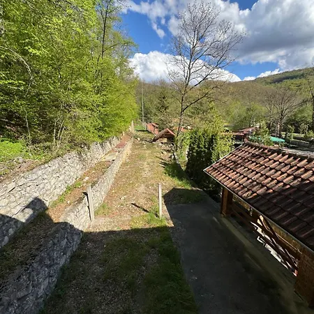 Lisine Ribnjak Деспотовац